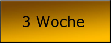 Tag11 buttons einsetzen